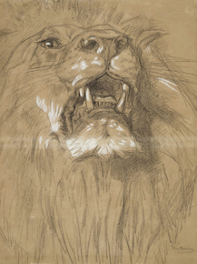 Rosa Bonheur - Lion head | Роза Бонёр
