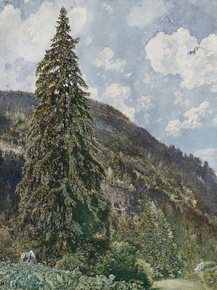 Rudolf von Alt - The old Spruce in Bad Gastein | Рудольф фон Альт