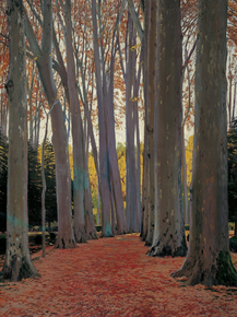 Santiago Rusinol - Avenue of Plane Trees | Сантьяго Рузиньол