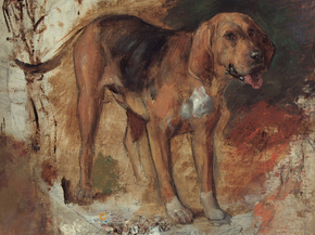 William Holman Hunt - Study of a bloodhound | Уильям Холман Хант