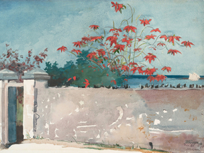 Winslow Homer - A Wall, Nassau | Уинслоу Хомер Winslow Homer - A Wall, Nassau | Уинслоу Хомер
