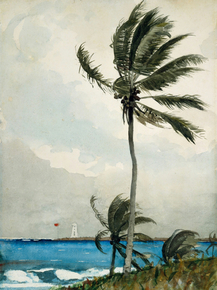 Winslow Homer - Palm Tree, Nassau | Уинслоу Хомер