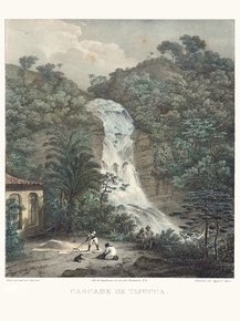 Johann Moritz Rugendas - Cascade de Tijucca | Йоганн Мориц Ругендас