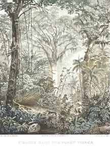 Johann Moritz Rugendas - Chasse dans une Foret Vierge | Йоганн Мориц Ругендас Johann Moritz Rugendas - Chasse dans une Foret Vierge | Йоганн Мориц Ругендас