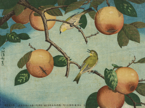 Кобаяси Киётика - Persimmons and White-Eyes