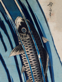 Кэйсай Эйсэн - Carp