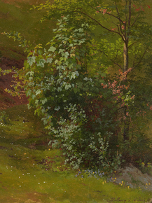Ludwig Richter - Tree study | Людвиг Рихтер