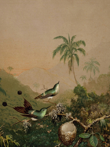 Martin Johnson Heade - Brazilian Hummingbirds II | Мартин Джонсон Хед Martin Johnson Heade - Brazilian Hummingbirds II | Мартин Джонсон Хед