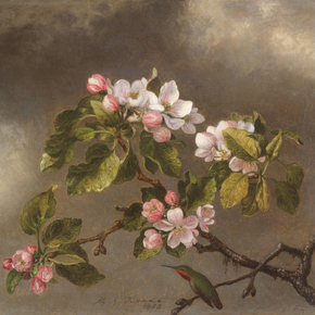 Martin Johnson Heade - Hummingbird and Apple Blossoms | Мартин Джонсон Хед