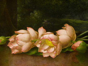 Martin Johnson Heade - Lotus Flowers A Landscape | Мартин Джонсон Хед Martin Johnson Heade - Lotus Flowers A Landscape | Мартин Джонсон Хед