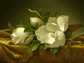 Martin Johnson Heade - Magnolias on Gold Velvet Cloth | Мартин Джонсон Хед Martin Johnson Heade - Magnolias on Gold Velvet Cloth | Мартин Джонсон Хед