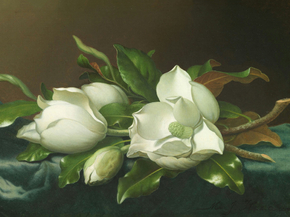 Martin Johnson Heade - Magnolias on Light Blue | Мартин Джонсон Хед Martin Johnson Heade - Magnolias on Light Blue | Мартин Джонсон Хед