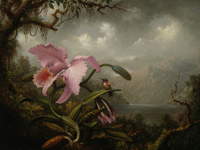 Martin Johnson Heade - Orchid and Hummingbird | Мартин Джонсон Хед Martin Johnson Heade - Orchid and Hummingbird | Мартин Джонсон Хед