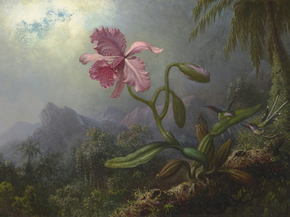Martin Johnson Heade - Two Hummingbirds with an Orchid | Мартин Джонсон Хед Martin Johnson Heade - Two Hummingbirds with an Orchid | Мартин Джонсон Хед