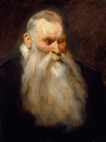 Anthony van Dyck - Study Head of an Old Man with a White Beard | Антонис ван Дейк Anthony van Dyck - Study Head of an Old Man with a White Beard | Антонис ван Дейк