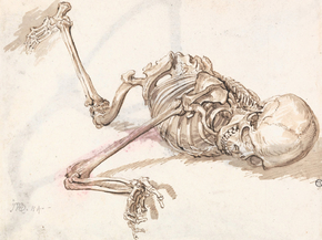 James Ward - A Human Skeleton | Джеймс Уорд