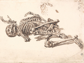 James Ward - A Human Skeleton | Джеймс Уорд