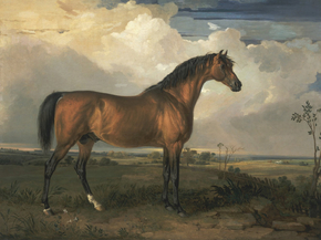 James Ward - Eagle, a Celebrated Stallion | Джеймс Уорд
