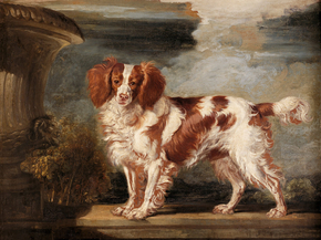 James Ward - Portrait of Dash, a Favourite Spaniel | Джеймс Уорд