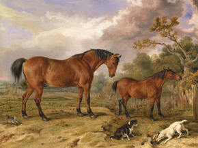 James Ward - Portrait of Reformer, Blucher, Tory and Crib | Джеймс Уорд