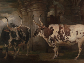 James Ward - Portraits of Two Extraordinary Oxen | Джеймс Уорд