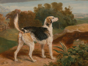 James Ward - Ravager, One of the Lambton Hounds | Джеймс Уорд James Ward - Ravager, One of the Lambton Hounds | Джеймс Уорд