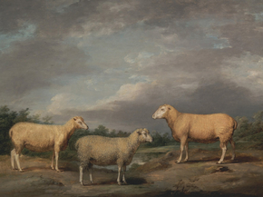 James Ward - Ryelands Sheep | Джеймс Уорд