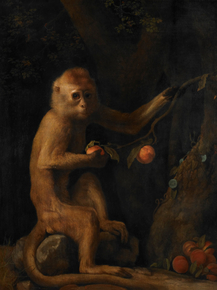 George Stubbs - A Monkey | Джордж Стаббс