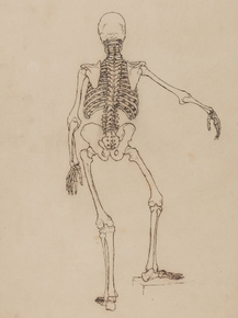 George Stubbs - Human Skeleton, Posterior View | Джордж Стаббс