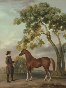 George Stubbs - Lord Grosvenor's Arabian Stallion with a Groom | Джордж Стаббс