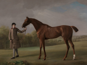 George Stubbs - Lustre, held by a Groom | Джордж Стаббс