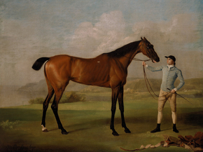 George Stubbs - Molly Long-legs with her Jockey | Джордж Стаббс