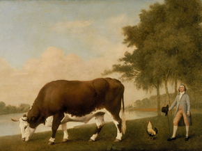 George Stubbs - The Lincolnshire Ox | Джордж Стаббс