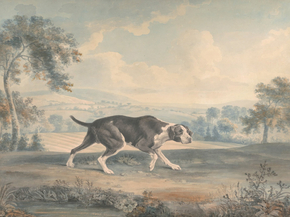 George Stubbs - The Spanish Pointer | Джордж Стаббс