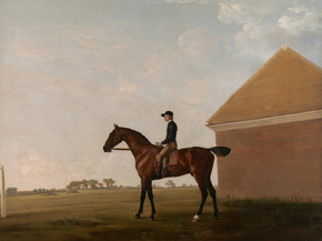George Stubbs - Turf, with Jockey up, at Newmarket | Джордж Стаббс