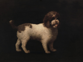George Stubbs - Water Spaniel | Джордж Стаббс