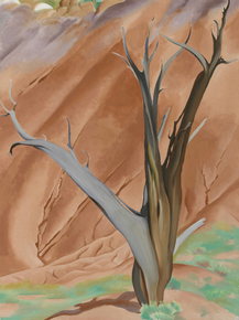 OKeeffe Georgia - Geralds Tree I | О'Кифф Джорджия