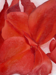 OKeeffe Georgia - Red Cannas | О'Кифф Джорджия