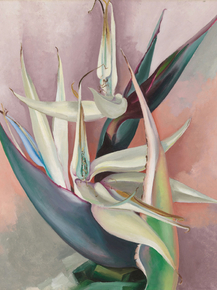 OKeeffe Georgia - White Bird of Paradise | О'Кифф Джорджия
