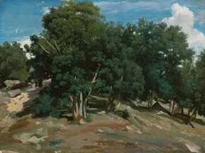 Camille Corot - Fontainebleau Oak Trees at Bas-Breau | Камиль Коро Camille Corot - Fontainebleau Oak Trees at Bas-Breau | Камиль Коро