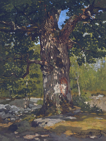 Monet Claude | Клод Моне - Бодмер дуб, 1865