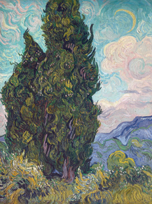 Van Gogh | Ван Гог - Кипарисы, 1889
