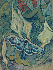 Van Gogh | Ван Гог - Мёртвая голова мотылька, 1889