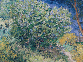 Van Gogh | Ван Гог - Сиреневый куст, 1889