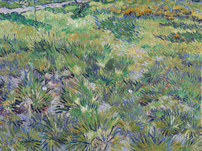 Van Gogh - Meadow in the Garden, 1890 | Ван Гог