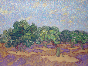 Van Gogh | Ван Гог - Оливковая роща, бледно-голубое небо, 1889