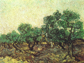 Van Gogh | Ван Гог - Сбор оливок, 1889 Van Gogh | Ван Гог - Сбор оливок, 1889