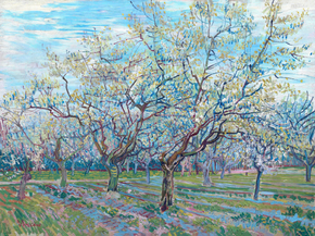Van Gogh | Ван Гог - Цветущий фруктовый сад, 1888