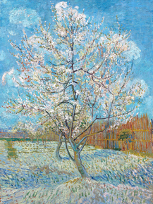 Van Gogh | Ван Гог - Персиковые деревья в цвету, 1888