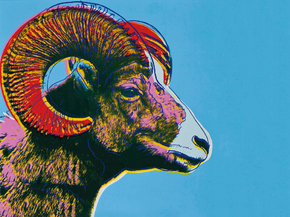 Andy Warhol - Bighorn Ram (Endangered Species) | Энди Уорхол